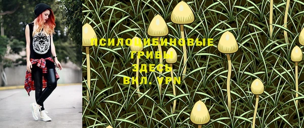 МДПВ Балахна